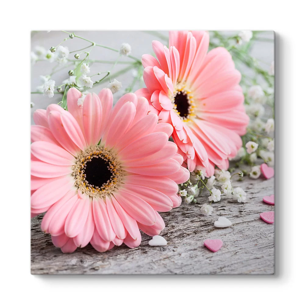 Pembe Gerbera Çiçeği Tablosu - Model 3